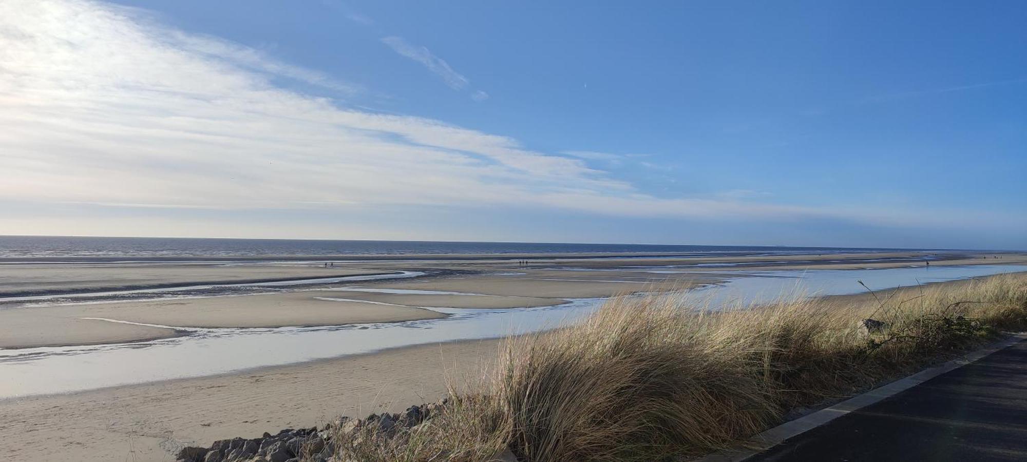 Chez Alice, A 50m A Pieds De La A Hardelot-plage Apartment