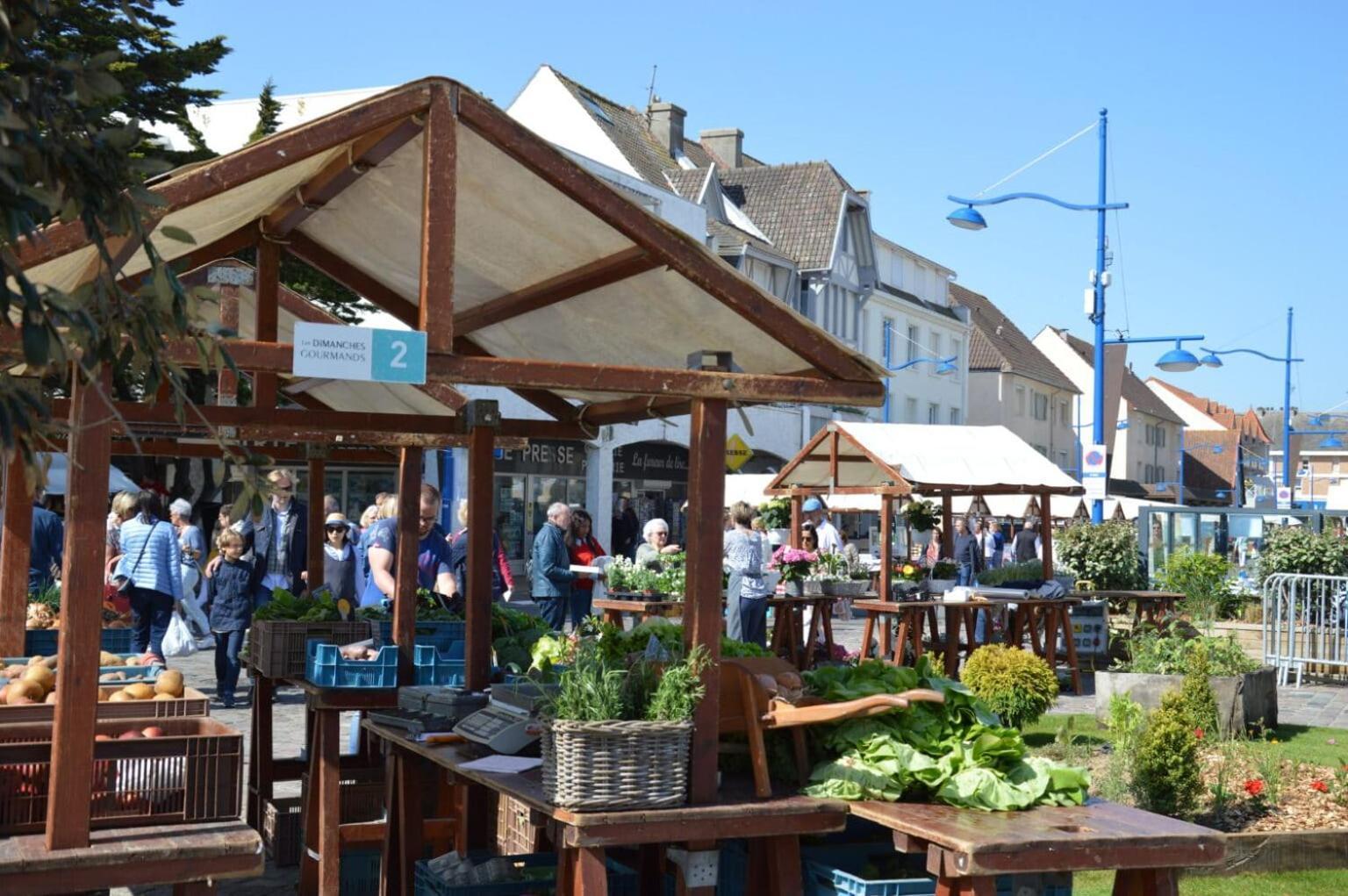 Chez Alice, A 50m A Pieds De La A Hardelot-plage *